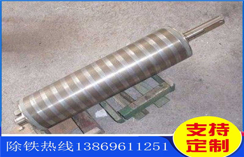 廣(guang)西強磁輥式(shi)磁選機(jī)